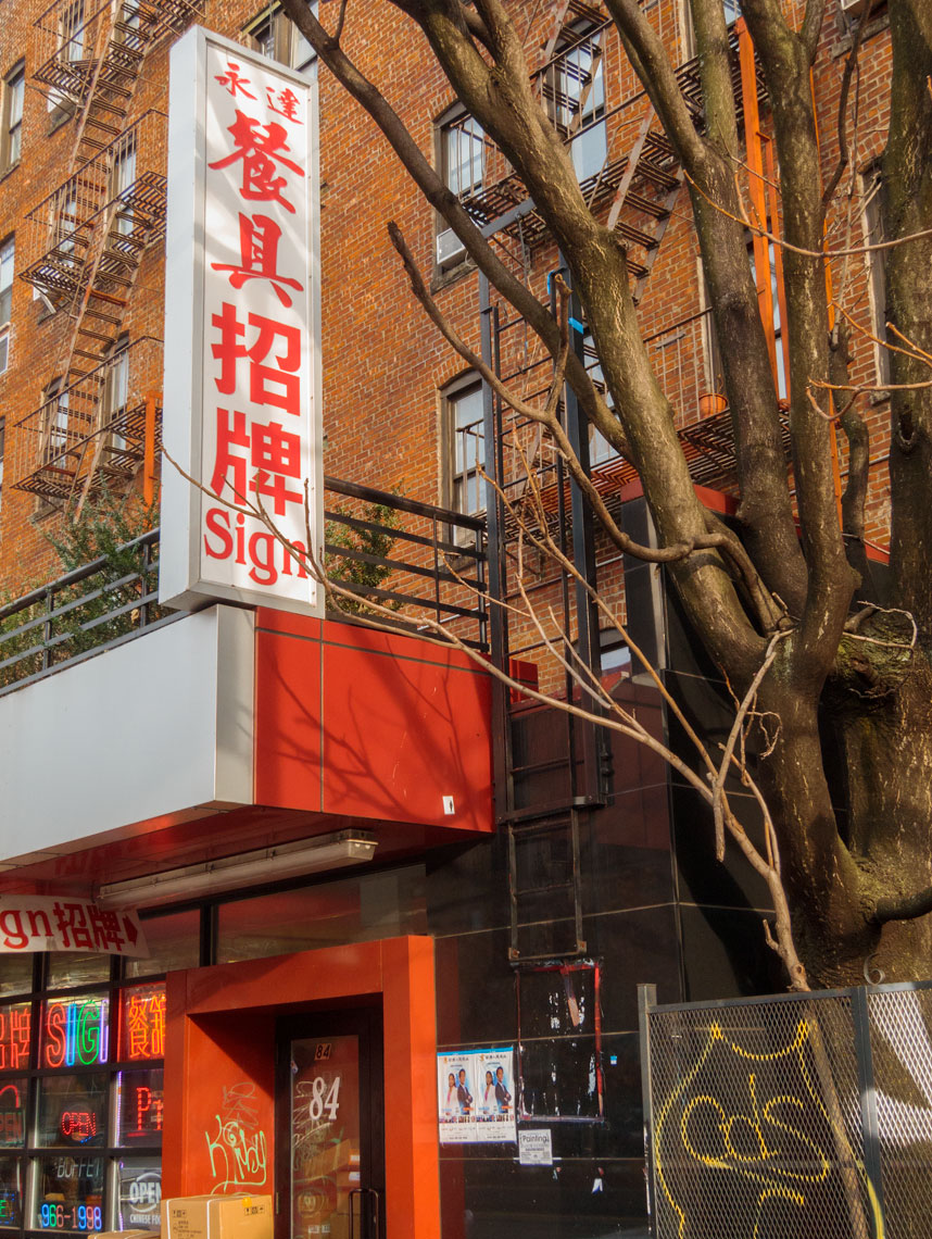 Robert A. Ripps • NYC based Portrait, Lifestyle & Editorial Photographer • Urban Trees
