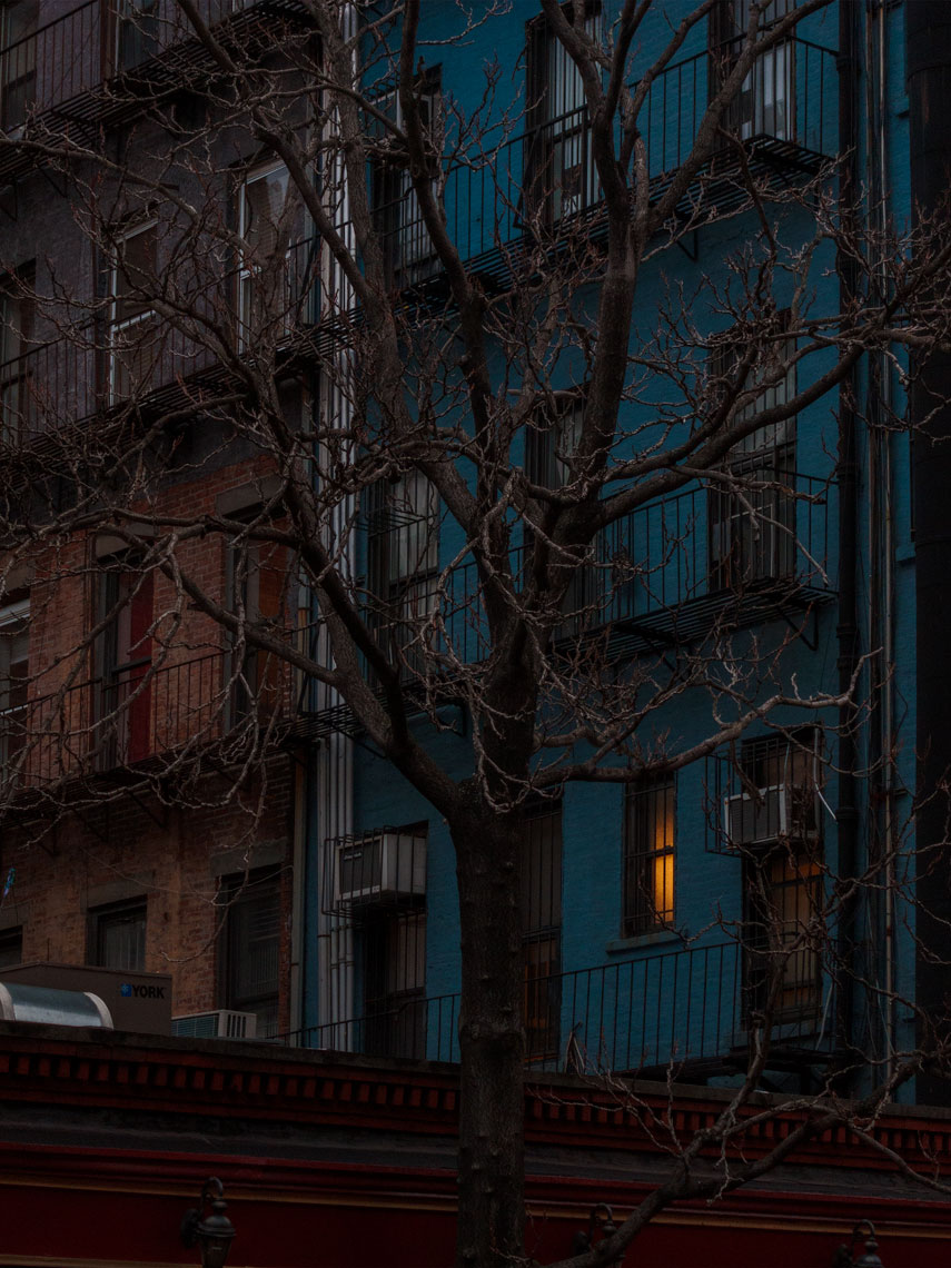 Robert A. Ripps • NYC based Portrait, Lifestyle & Editorial Photographer